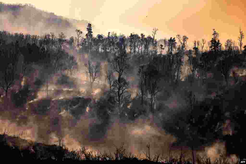 모로코 북부 체프차오유엔에서 산불로 불에 탄 나무들.