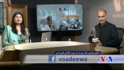 بي بي شیرینه – وي او اې ډيوه په ټیلې ویژن