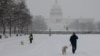 Orang-orang berjalan-jalan dengan anjingnya di sepanjang National Mall saat salju turun selama badai musim dingin di Washington, DC pada 6 Januari 2025. (Foto: AFP)