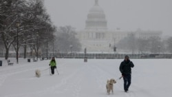 Orang-orang berjalan-jalan dengan anjingnya di sepanjang National Mall saat salju turun selama badai musim dingin di Washington, DC pada 6 Januari 2025. (Foto: AFP)