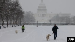 Orang-orang berjalan-jalan dengan anjingnya di sepanjang National Mall saat salju turun selama badai musim dingin di Washington, DC pada 6 Januari 2025. (Foto: AFP)