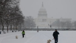 Orang-orang berjalan-jalan dengan anjingnya di sepanjang National Mall saat salju turun selama badai musim dingin di Washington, D.C., 6 Januari 2025.