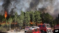 Firefighters position themselves to battle a forest fire raging by the village of Lercas near Sardoal, central Portugal, Aug. 17, 2017. 