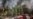 Wildfire-plagued Portugal Declares Public Calamity as Braces for More