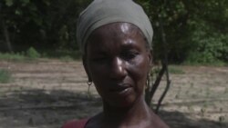 Le dérèglement climatique pèse sur les agricultrices sénégalaises