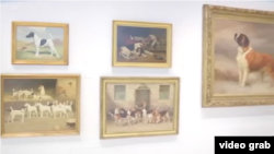 犬類博物館內的展品。（視頻截圖）