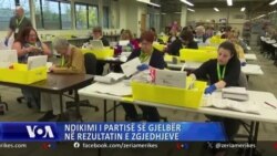 Ndikimi i Partisë së Gjelbër në rezultatin e zgjedhjeve