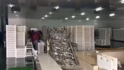 Cólera em Luanda provoca alerta no mercado de peixe de Benguela