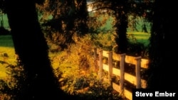 Autumn brings lovely colors, but also shorter days, leading to increases in depression and suicide