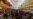 Controversy Persists Over China’s ‘Wet Markets’