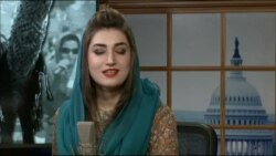 ډیوه ریډیو په ټې وي