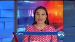 နေ့စဉ် တီဗွီသတင်းလွှာ (၀၄-၀၃-၂၀၂၀)