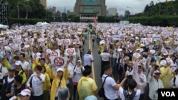 台湾上万群众2019年6月23日集会要求拒绝红色媒体 （美国之音张永泰拍摄）