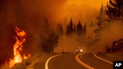 Flames lick at a roadside as the Tamarack Fire burns in the Markleeville community of Alpine County, Calif., on Saturday, July 17, 2021. (AP Photo/Noah Berger)