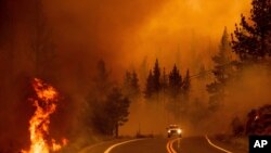 Flames lick at a roadside as the Tamarack Fire burns in the Markleeville community of Alpine County, Calif., on July 17, 2021. 