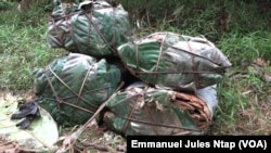 Les écorces d’un arbre aux vertus thérapeutiques destinées au commerce, à Iboti (littoral), le 19 octobre 2020. (VOA/Emmanuel Jules Ntap) 