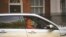 Britain's Prime Minister Boris Johnson's senior aid Dominic Cummings leaves 10 Downing Street, in London, May 24, 2020. 