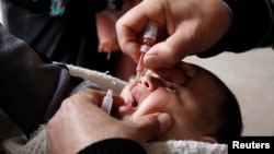 FILE - A health worker administers a polio vaccination dose to a child in Raqqa, Syria, Nov.18, 2013.