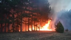 Останаа без шумите, без чистиот воздух, а сега стравуваат дека ќе останат и без изгорените дрвја