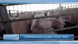 Coronavirus: Global Food Crisis