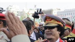 Media algjeriane: Familja e Moamar Gadafit është futur në Algjeri