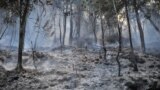 Burnt bushes smolder after a fire in Taman Bukit Melawati park in Kuala Lumpur, Malaysia. 