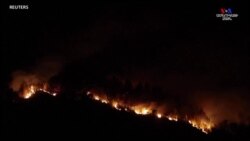 Հունաստանում փորձում են մարել անտառային հրդեհները, որոնք արդեն հասցրել են բազմաթիվ տներ և ֆերմաներ ոչնչացնել