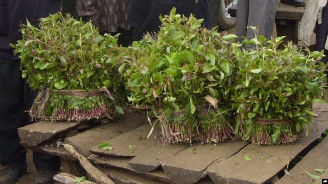 Khat