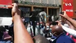MDC Alliance Activist Jailed