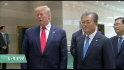 美国观察 2019年7月3日