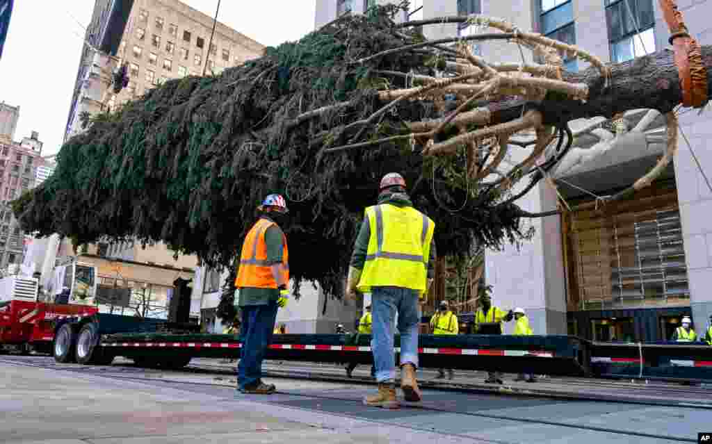 درخت کریسمس ۲۵ متری در مرکز راکفلر نیویورک. هر سال در آستانه جشن‌های کریسمس و سال نو، درختی در مرکز نیویورک با تزئینات نصب می‌شود. 