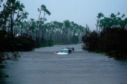 Cars sit submerged in water from Hurricane Dorian in Freeport, Grand Bahama. Dorian is beginning to inch northwestward after being stationary over the Bahamas, where its relentless winds have caused catastrophic damage and flooding.