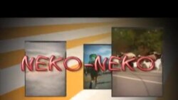 Kegiatan Perkuliahan di Amerika (4)