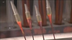 اخبار شامگاهی