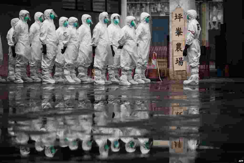 Volunteers from the Civil Aid Service wearing protective clothing take part in a chicken cull demonstration as part of an emergency response exercise in Hong Kong.