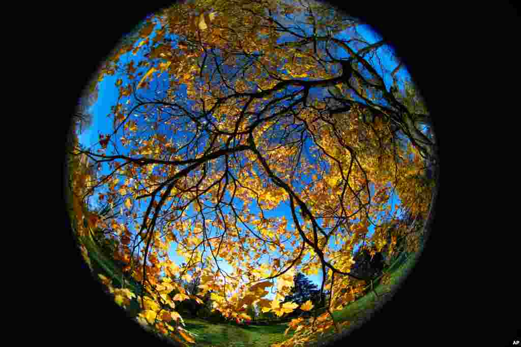 زیبایی پاییز در تصویر ۳۶۰ درجه