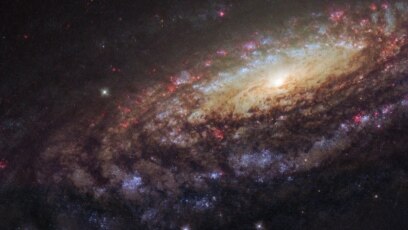 Milky Way Blues - American Café May 8, 2018