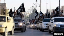 Militant Islamist fighters parade on military vehicles along the streets of northern Raqqa province, Syria, June 30, 2014. 