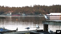 Two Canadian navy tugboats (left-rear) guide MV Sun Sea, suspected of carrying 490 Tamil migrants, into dock at the Canadian Forces Base Esquimalt in British Columbia, 13 Aug 2010