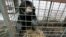 FILE - In this March 10, 2012 photo, a moon bear which suffers from a skin tumor sits inside a cage at the quarantine section of Surabaya Zoo in Surabaya, East Java, Indonesia. 