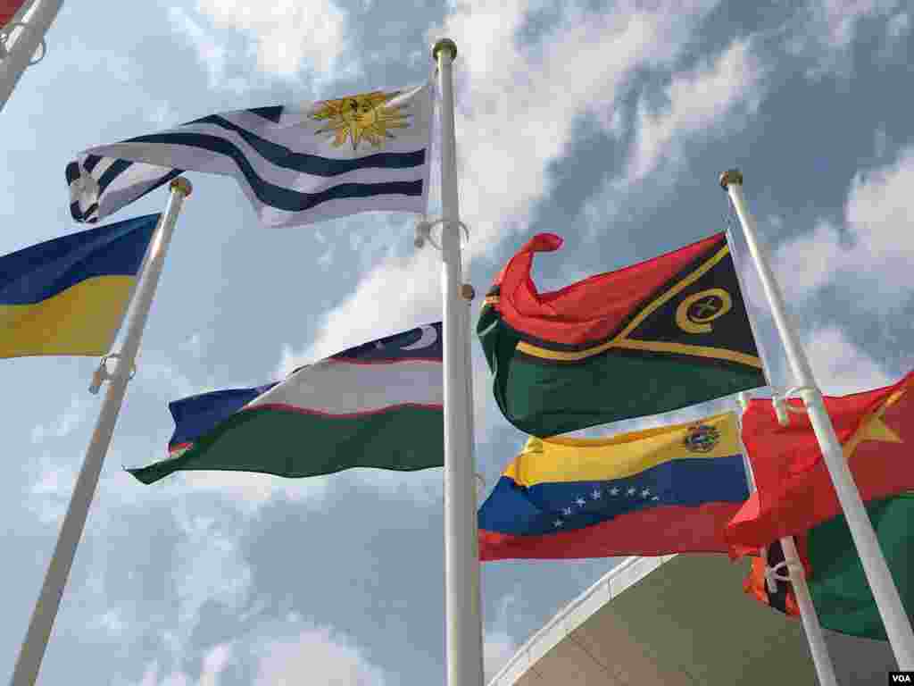 Olympic Park Flags