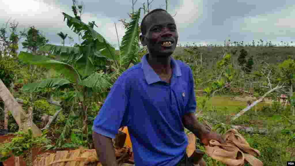 Yon peyizan ki sou do yon bourik nan zòn Louwou, Jeremi, Ayiti