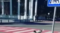 Վրաստան. Թափառական շունը երեխաներին օգնում է հատել փողոցը