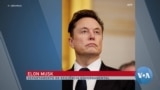 Deverá Elon Musk ser autorizado a encolher o governo federal dos EUA?