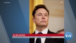 Deverá Elon Musk ser autorizado a encolher o governo federal dos EUA?