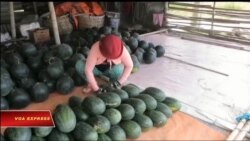 Truyền hình vệ tinh VOA 18/5/2017