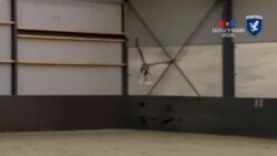 SHORT VIDEO: Արծիվները թռչող սարքերի դեմ