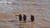 Libya Investigates Collapse of Dams After Deadly Flood