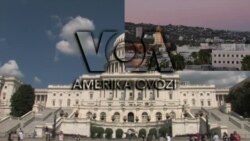 Amerika Manzaralari: AQSh-Isroil, bitkoin, qurol va konstitutsiya