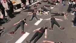 Spanish Police Remove Climate Change Activists from the Road 